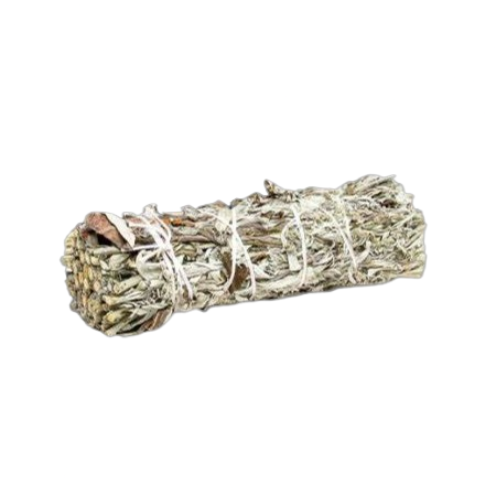 Mugwort Smudge Bundle – “Dream Weed” for Spiritual Cleansing & Rituals